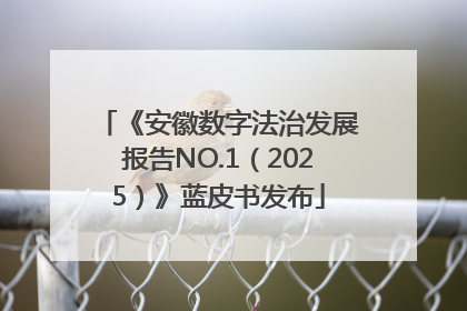 《安徽数字法治发展报告NO.1（2025）》蓝皮书发布