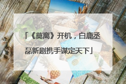 《莫离》开机，白鹿丞磊新剧携手谋定天下