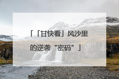 「甘快看」风沙里的逆袭“密码”