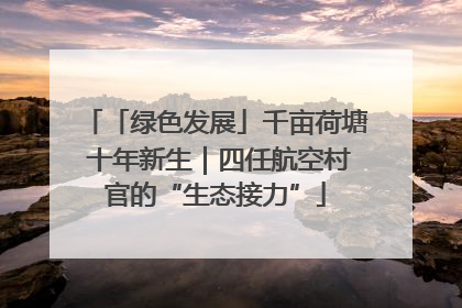 「绿色发展」千亩荷塘 十年新生｜四任航空村官的“生态接力”