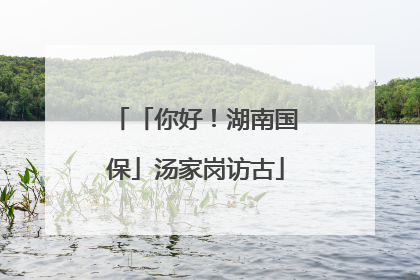 「你好！湖南国保」汤家岗访古