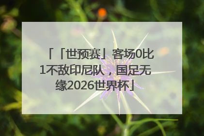 「世预赛」客场0比1不敌印尼队，国足无缘2026世界杯