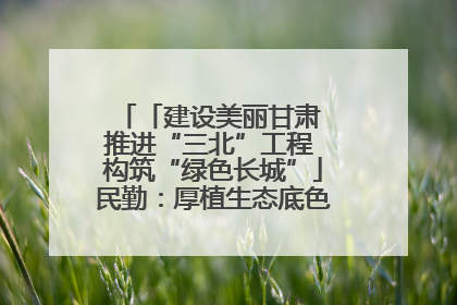 「建设美丽甘肃 推进“三北”工程 构筑“绿色长城”」民勤：厚植生态底色 筑牢绿色屏障