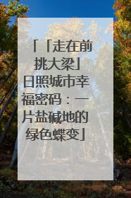 「走在前 挑大梁」日照城市幸福密码：一片盐碱地的绿色蝶变