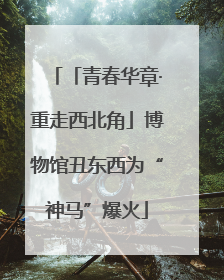 「青春华章·重走西北角」博物馆丑东西为“神马”爆火