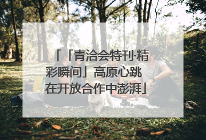 「青洽会特刊·精彩瞬间」高原心跳 在开放合作中澎湃