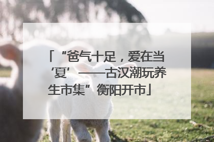 “爸气十足，爱在当‘夏’——古汉潮玩养生市集”衡阳开市