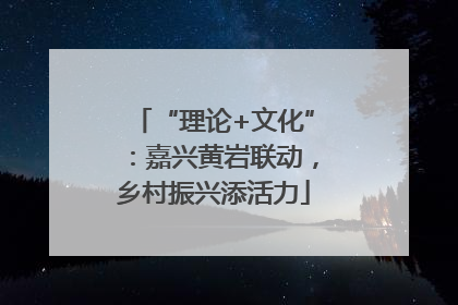 “理论+文化”：嘉兴黄岩联动，乡村振兴添活力