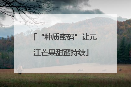 “种质密码”让元江芒果甜蜜持续