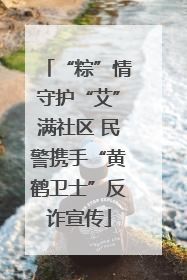 “粽”情守护“艾”满社区 民警携手“黄鹤卫士”反诈宣传