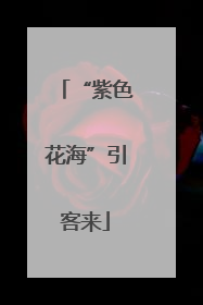 “紫色花海”引客来