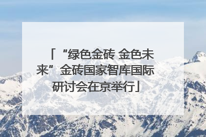 “绿色金砖 金色未来”金砖国家智库国际研讨会在京举行