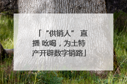 “供销人” 直播 吆喝，为土特产开辟数字销路