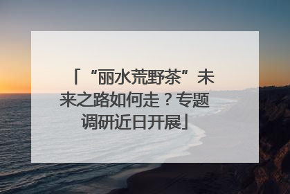 “丽水荒野茶”未来之路如何走？专题调研近日开展