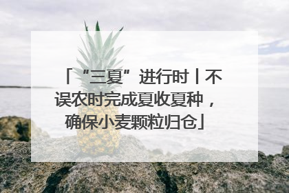 “三夏”进行时丨不误农时完成夏收夏种，确保小麦颗粒归仓