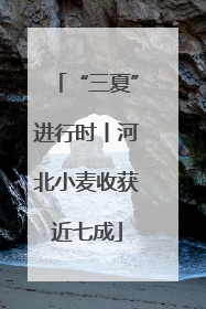 “三夏”进行时丨河北小麦收获近七成