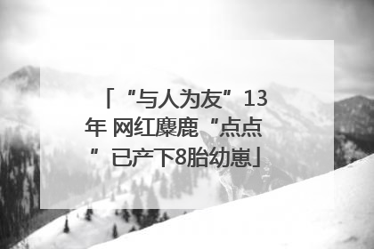 “与人为友”13年 网红麋鹿“点点”已产下8胎幼崽
