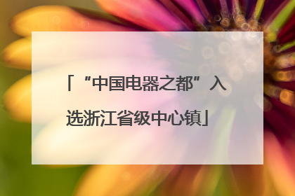 “中国电器之都”入选浙江省级中心镇