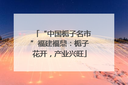 “中国栀子名市”福建福鼎：栀子花开，产业兴旺