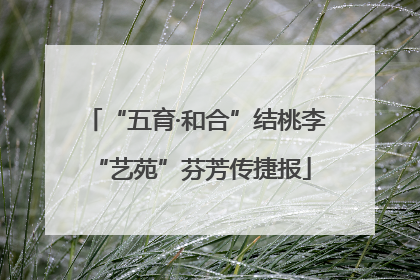 “五育·和合”结桃李 “艺苑”芬芳传捷报