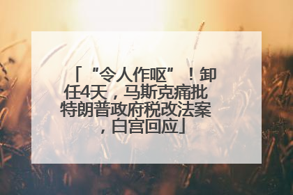“令人作呕”！卸任4天，马斯克痛批特朗普政府税改法案，白宫回应