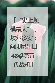 “史上规模最大”，埃尔多安：向印尼出口48架第五代战机
