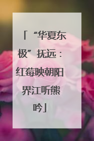 “华夏东极”抚远：红莓映朝阳 界江听熊吟