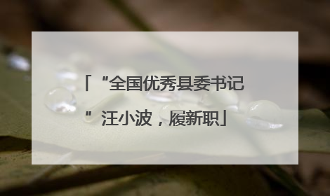 “全国优秀县委书记”汪小波，履新职