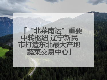 “北菜南运”重要中转枢纽 辽宁新民市打造东北最大产地蔬菜交易中心