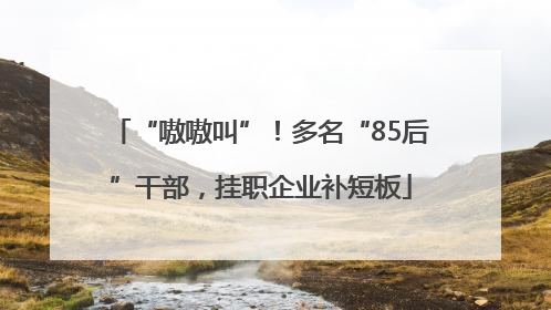 “嗷嗷叫”！多名“85后”干部，挂职企业补短板