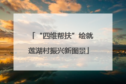 “四维帮扶”绘就莲湖村振兴新图景