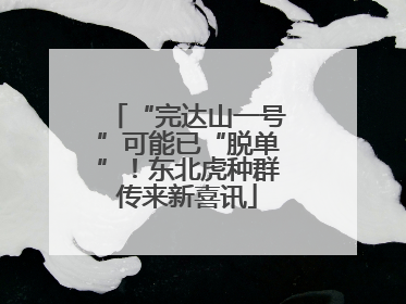 “完达山一号”可能已“脱单”！东北虎种群传来新喜讯