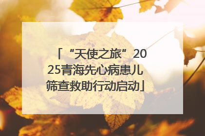“天使之旅”2025青海先心病患儿筛查救助行动启动