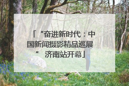 “奋进新时代：中国新闻摄影精品巡展” 济南站开幕