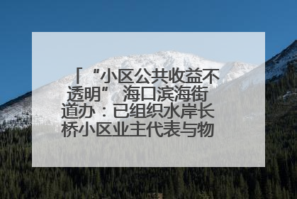 “小区公共收益不透明” 海口滨海街道办：已组织水岸长桥小区业主代表与物业进行座谈