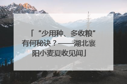 “少用种、多收粮”有何秘诀？——湖北襄阳小麦夏收见闻