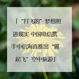 “打飞的”梦想照进现实 中国电信携手中信海直推出“翼起飞”空中旅游