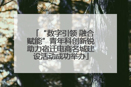 “数字引领 融合赋能”青年科创新锐助力宿迁电商名城建设活动成功举办