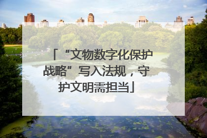 “文物数字化保护战略”写入法规，守护文明需担当
