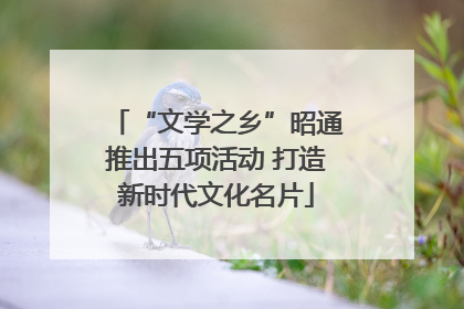 “文学之乡”昭通推出五项活动 打造新时代文化名片