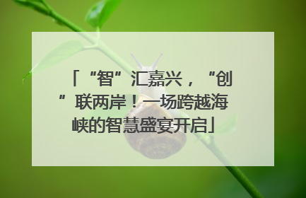 “智”汇嘉兴，“创”联两岸！一场跨越海峡的智慧盛宴开启
