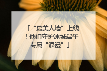 “最美人墙”上线！他们守护冰城端午专属“浪漫”