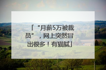 “月薪5万被裁员”，网上突然冒出很多！有猫腻