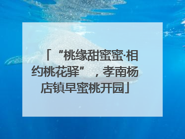 “桃缘甜蜜蜜·相约桃花驿”，孝南杨店镇早蜜桃开园