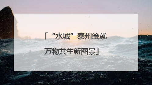 “水城”泰州绘就万物共生新图景