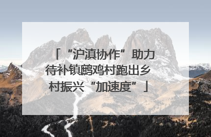 “沪滇协作”助力待补镇鹧鸡村跑出乡村振兴“加速度”