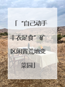 “自己动手丰衣足食”矿区闲置荒地变菜园