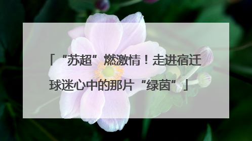 “苏超”燃激情！走进宿迁球迷心中的那片“绿茵”
