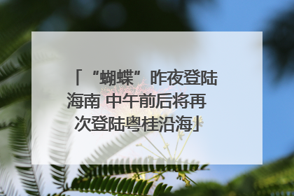 “蝴蝶”昨夜登陆海南 中午前后将再次登陆粤桂沿海