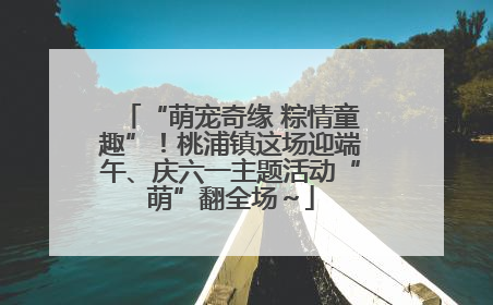 “萌宠奇缘 粽情童趣”！桃浦镇这场迎端午、庆六一主题活动“萌”翻全场～